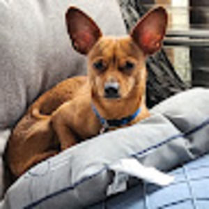 Meet your Posher, Vickie